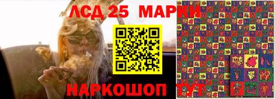 apvp Гусев