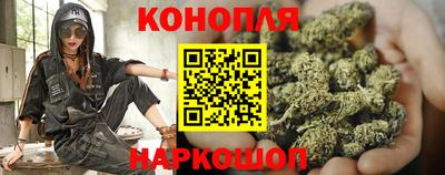 apvp Гусев