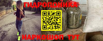 apvp Гусев